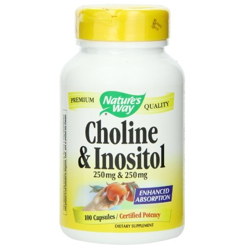 Nature's Way Choline and Inositol, 500mg, 100 Capsules, only $11.59