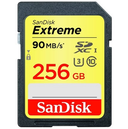 SanDisk Extreme SDXC UHS-I/U3 256GB Memory Card Up To 90MB/s Read - SDSDXNF-256G-GNCIN (Newest Version) (SDSDXNF-256G-GNCIN) $116.95 FREE Shipping