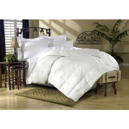 1200 Thread Count King or Queen Siberian Goose Down Comforter 750 FP White Solid   $119.99