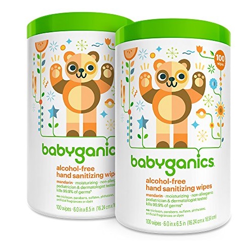 Babyganics Alcohol Free Hand Sanitizer Wipes, Mandarin, 100 Count Canister (Pack of 2), Only $15.18