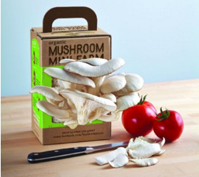 Back to the Roots Organic Mushroom Mini Farm, Only $13.39, You Save $4.51(24%)，Free Shipping