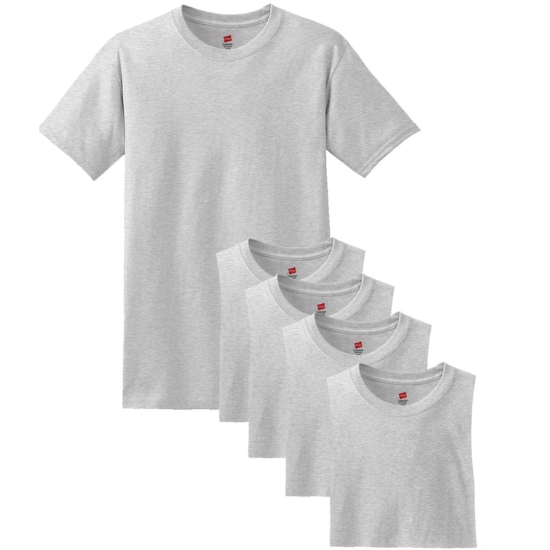 Hanes Comfort Soft Crew-Neck T-Shirt (Pack of 5) $10.58 FREE Shipping