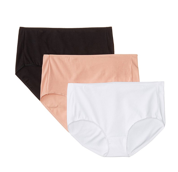 Hanes Women's Everyday Smooth Brief Panty (Pack of 3) only $7.40