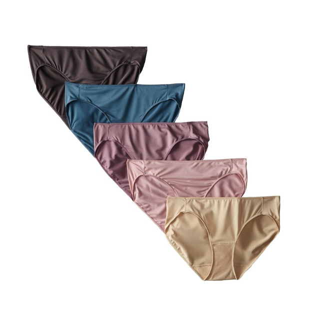Hanes Women's Microfiber Bikini Panties (Pack of 5) only $10.47