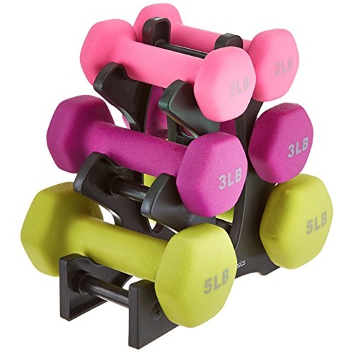 AmazonBasics 20-Pound Dumbbell Set with Stand, only $20.96