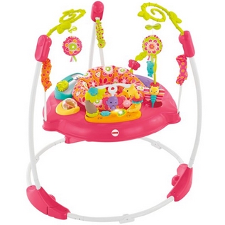 Fisher-Price Pink Petals Jumperoo $68.12 FREE Shipping
