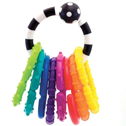 Sassy Ring O' Links Rattle Developmental Toy, only $2.99