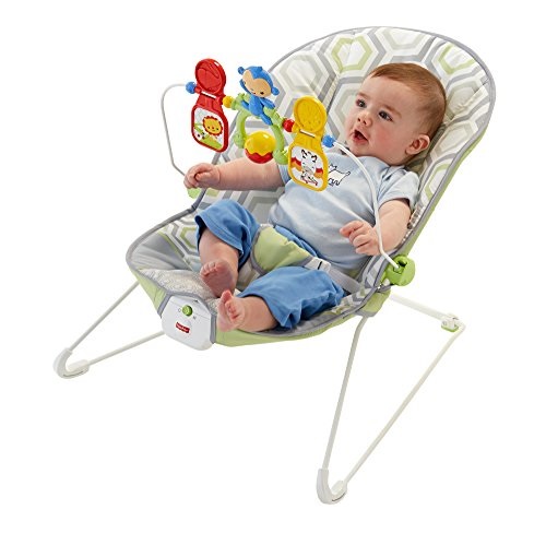 Fisher-Price Baby's Bouncer Geo Meadow, Only$29.99