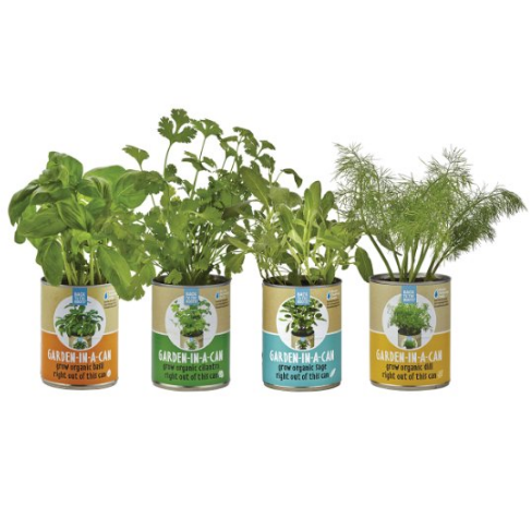 Back to the Roots Garden-in-a-Can Grow Organic Herbs Variety Pack, Basil/Cilantro/Dill/Sage, 4 Count only $11.39