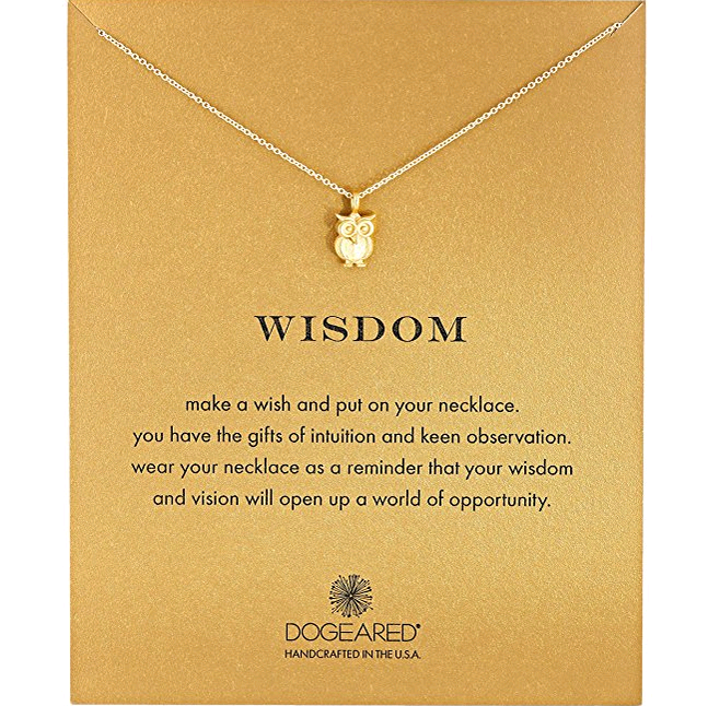 Dogeared Reminder Wisdom Wise Owl Pendant Necklace, 16