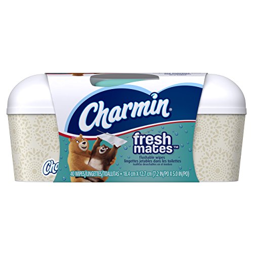 Charmin Freshmates Flushable Wet Wipes, 40 count Tub (Pack of 12), Only $13.92, You Save $19.07(58%)