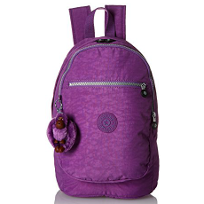 Kipling Luggage Challenger II Backpack, only $49.69, free shipping