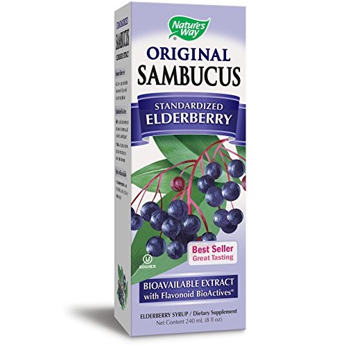 Nature's Way Original Sambucus Elderberry Syrup, Herbal Supplements, Gluten Free, Vegetarian, 8 Ounce, Only $12.71