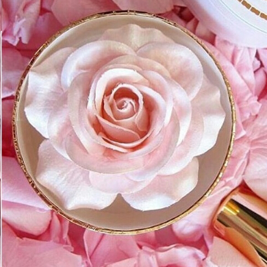 Lancôme Blush La Rose - Absolutely Rose Color Collection  $60.00