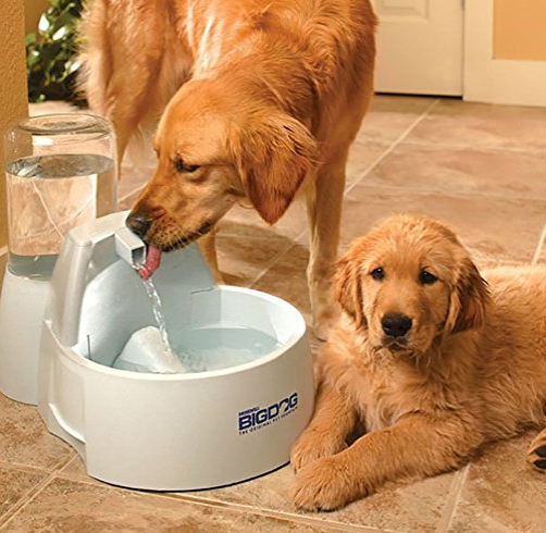 PetSafe Drinkwell活氧噴泉大型狗自動飲水機*2.25加侖, 現僅售$33.19