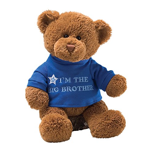 萌萌哒套在T恤里的泰迪熊！Gund 毛绒泰迪熊，30cm， 现仅售$10.40