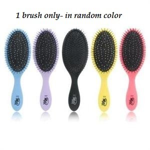 The Wet Brush Detangling Shower Brush, Colors Vary, Only $8.89