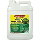 Compare-N-Save Concentrate Grass and Weed Killer, 41-Percent Glyphosate, 2.5-Gallon $31.51