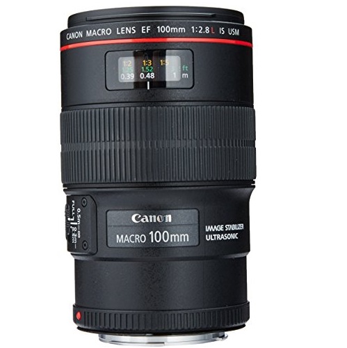 Canon EF 100mm f/2.8L IS USM Macro Lens for Canon Digital SLR Cameras, Only $699.00, free shipping