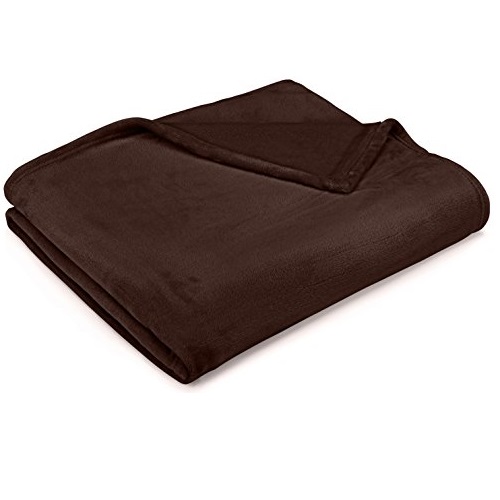 Pinzon Velvet Plush Throw Blanket, 50