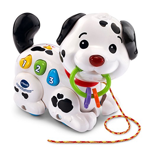 VTech Pull and Sing Puppy Only $12.49