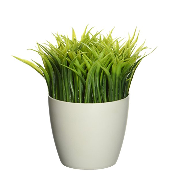 Kikkerland Potted Pen Stand (SC24) only $11.50