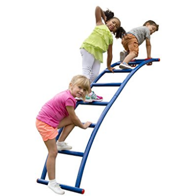 Swing-N-Slide Arch Ladder $59.00