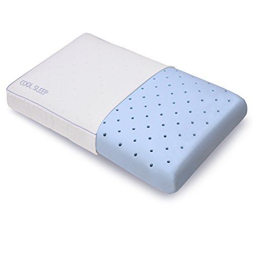 Classic Brands Cool Sleep Ventilated Gel Memory Foam Gusseted Pillow, King, Only $22.95