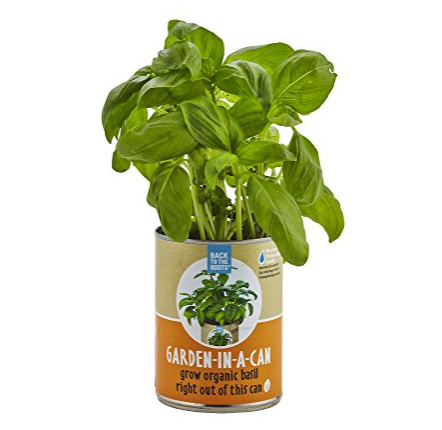 Back to the Roots Garden In A Can, Organic Basil  only$1.43