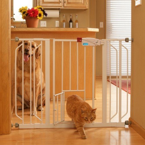 Carlson Extra Wide Walk Through Gate with Pet Door, 29 to 44-Inch, Only $18.13, You Save $18.86(51%)