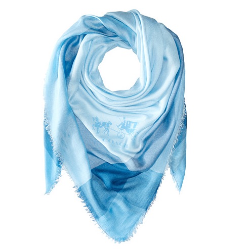 Amazon or 6PM：COACH 蔻驰 Windowpane Challis 女士围巾，原价$195.00，现仅售$59.99，免运费