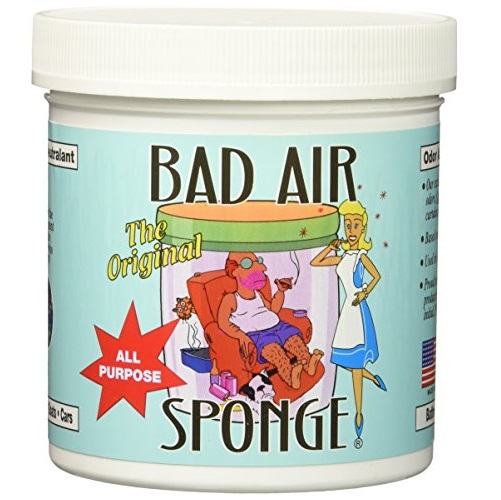 Bad Air Sponge祛除甲醛裝修污染空氣凈化劑，14 oz/罐，共5罐，現僅售$38.24，免運費