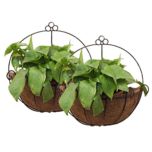 Tosnail PVC Coated Metal Wall Hanging Planter Basket with Coco Liner - Great for Indoor or Outdoor Plants - Pack of 2, Only $12.49