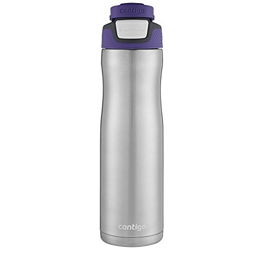 Contigo AUTOSEAL Chill Stainless Steel Water Bottle, 24oz, Grapevine, Only $12.99