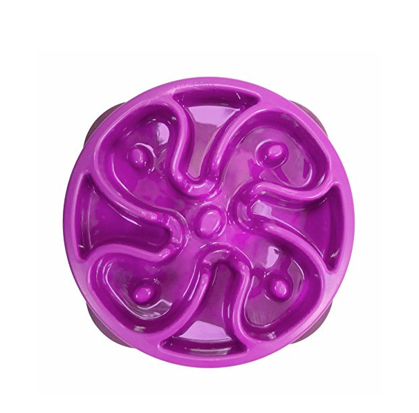 Outward Hound Fun Feeder Slow Feed Interactive Bloat Stop Dog Bowl only $8.49
