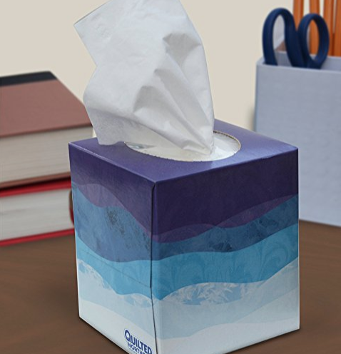Quilted Northern 3-PLY Ultra Facial Tissue (16 Cube Boxes) only $19.47