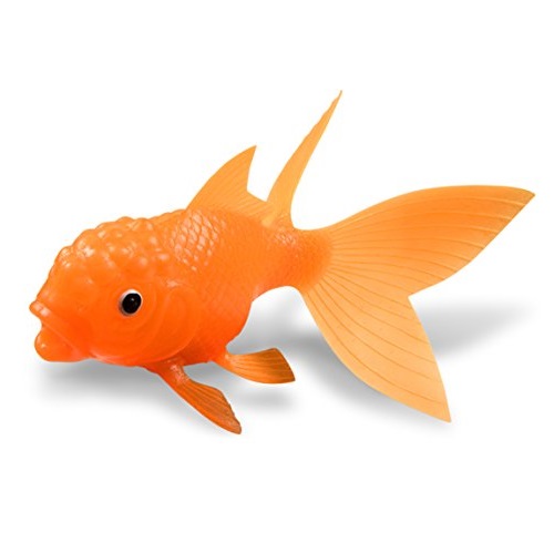 Fred & Friends Fred KOI TOY Light-Up Bath Goldfish, Only $11.45