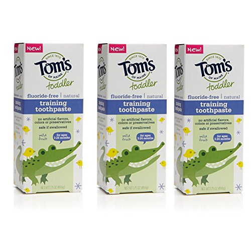 Tom's of Maine Toddlers Fluoride-Free Natural Toothpaste in Gel, Mild Fruit, 1.75 Ounce, 3 Count, Only $7.33 free shipping after using SS