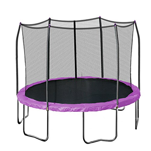 Skywalker Trampolines Round Trampoline with Enclosure, Purple, 12-Feet, Only $137.49, free shipping