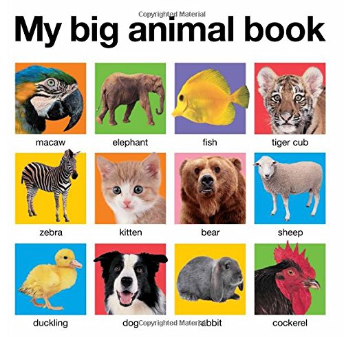 《 My Big Animal Book 动物图书》幼儿书籍，原价$7.99，现仅售$4.42