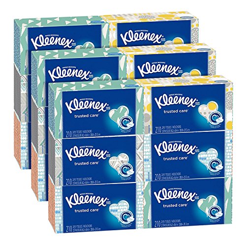 Kleenex Everyday Facial Tissues 210 Count (Pack of 18), Disposable Facial Tissues, Gentle and Durable, 2-Ply Thickness, Designs May Vary, Only $25.19, free shipping after clipping coupon and using SS