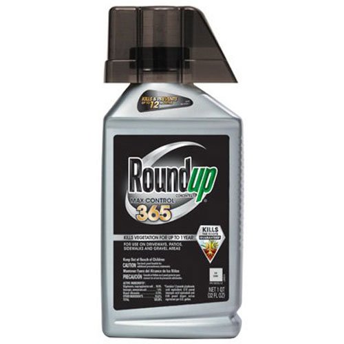 Roundup Max Control 365 Concentrate, 32-Ounce (Weed Killer Plus Weed Preventer) (Not Sold in NY) $19.00
