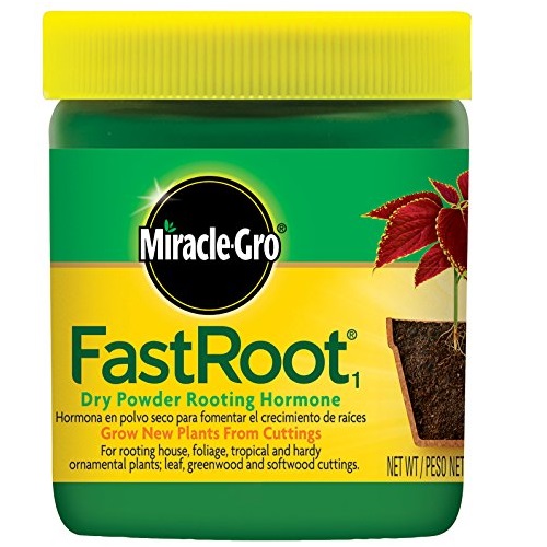 Miracle-Gro FastRoot Dry Powder Rooting Hormone Jar, 1-1/4-Ounce, Only $4.94, free shipping