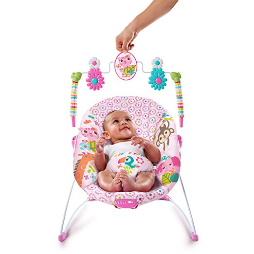 Bright Starts Jungle Blooms Bouncer, Only $15.00