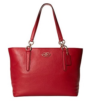 COACH Chicago Ellis Tote, only $99.99, free shipping