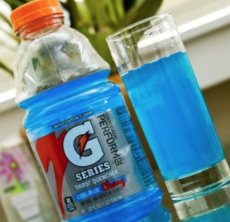 Gatorade Thirst Quencher, Orange and Berry Variety Pack, 12 Fl Oz (Pack of 24) only $9.68