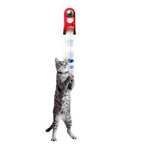 JW Pet Company Spring String Cat Toy only $5.99