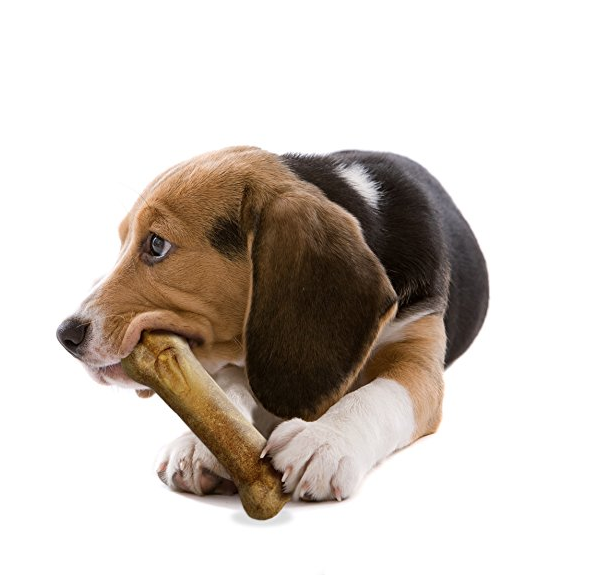 Nylabone Healthy Edibles Dog Chew Treat Bones for Medium Dogs up to 35 Pounds only $1.74