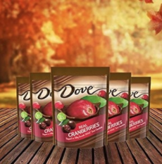DOVE Fruit Dark Chocolate With Real Cranberries 17-Ounce Pouch only $8.98