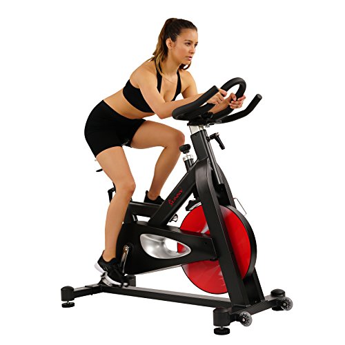 Sunny Health & Fitness SF-B1714 Evolution Pro Magnetic Belt Drive Indoor Cycling Bike, High Weight Capacity, Heavy Duty Flywheel, List Price is $699.99, Now Only $504.00